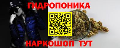 ALPHA PVP Аша