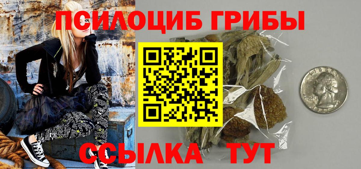Псилоцибиновые грибы прущие грибы Верхняя Пышма