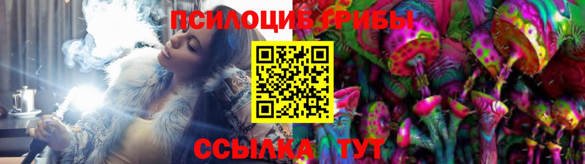 Галлюциногенные грибы Psilocybe  Вход с VPN  Верхняя Пышма 